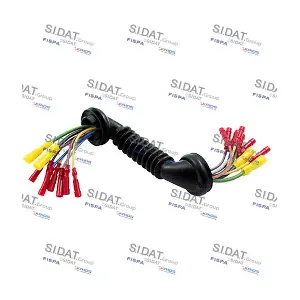 405047 FISPA