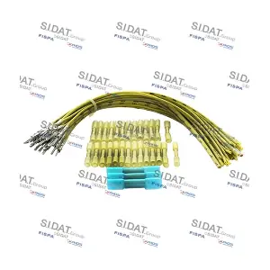 405059 FISPA