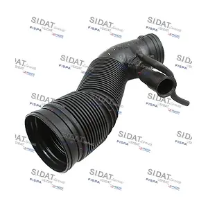 FISPA 500301