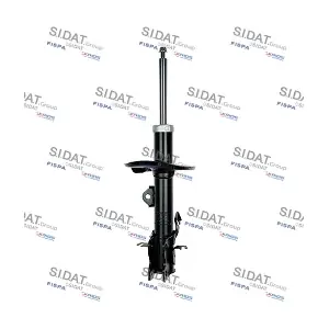 F210G0617 FISPA