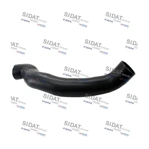 501100 FISPA