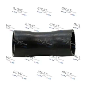 500707 FISPA
