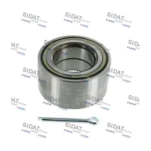 FISPA 460555