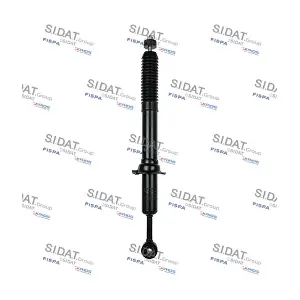F210G0447 FISPA