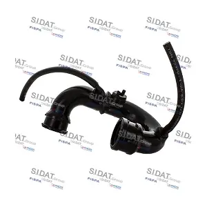 FISPA 500316