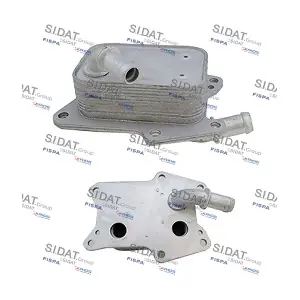590256 FISPA