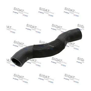 FISPA 501031