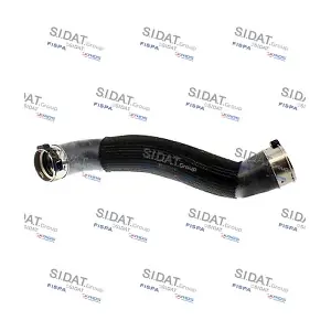 501524 FISPA