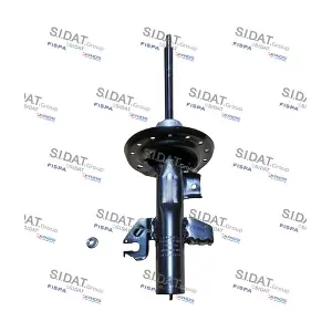 F210G1594 FISPA