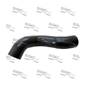 501081 FISPA