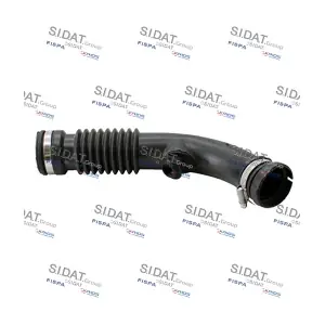 FISPA 501171