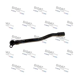 FISPA 501338