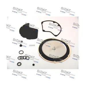 81133 FISPA