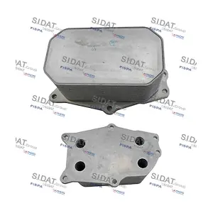 590229 FISPA