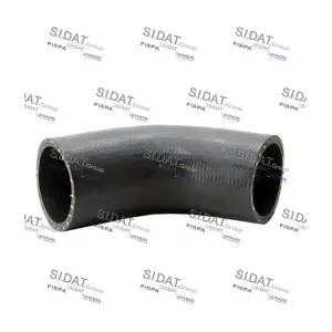 FISPA 500989