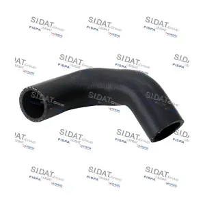 FISPA 501055