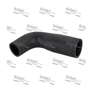 FISPA 500443