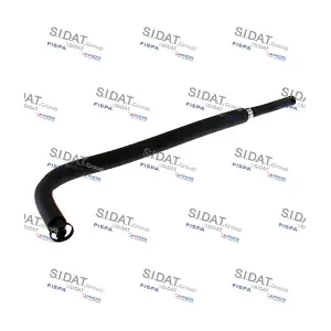 FISPA 501304