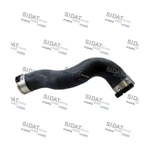 FISPA 500764
