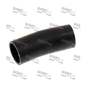 FISPA 501569