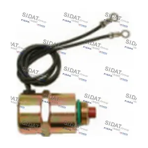 81.009 FISPA
