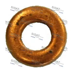 81055 FISPA