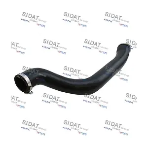 FISPA 500631
