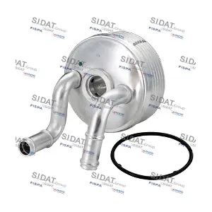 590007 FISPA