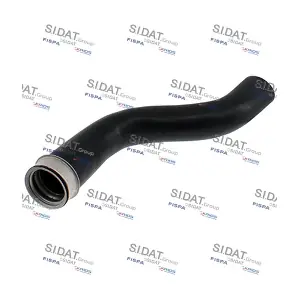 501596 FISPA