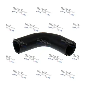 FISPA 500983