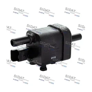 81215 FISPA