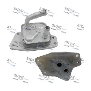 FISPA 590238