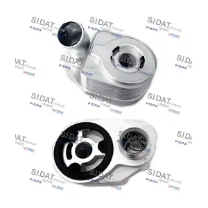 FISPA 590062