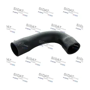 FISPA 500595