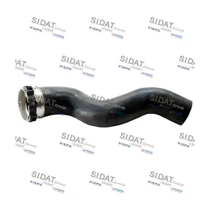 FISPA 501032