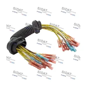 405056 FISPA