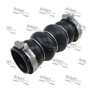 FISPA 500125