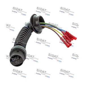 405299 FISPA