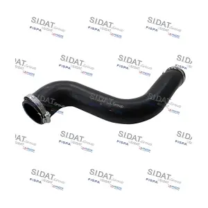 FISPA 501066