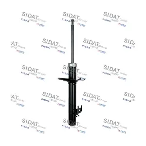 F210G1099 FISPA