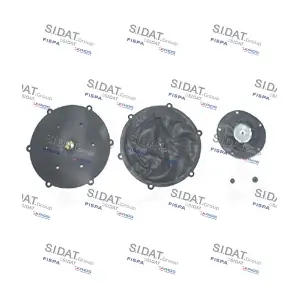 81140 FISPA