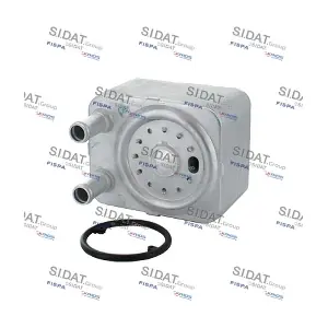 FISPA 590006