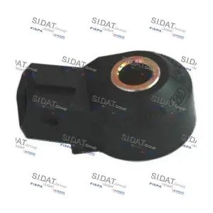 FISPA 84.009