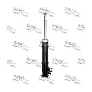 F210G0738 FISPA