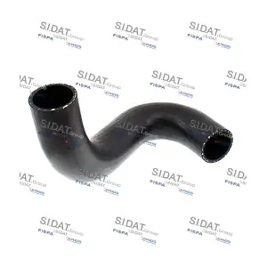 501556 FISPA