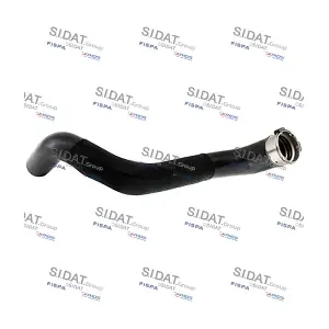501602 FISPA