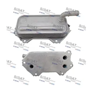 FISPA 590279
