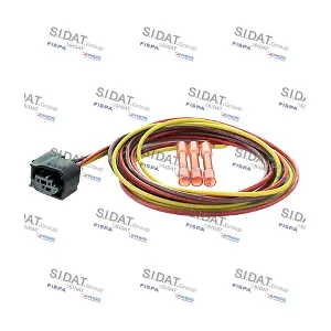 405181 FISPA
