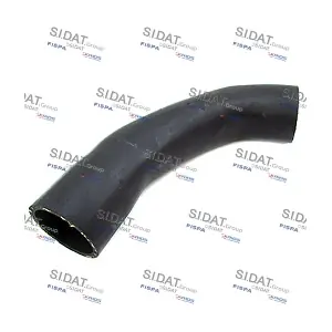 FISPA 500064