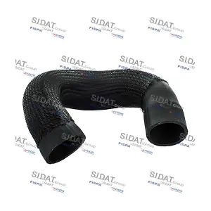 FISPA 500388